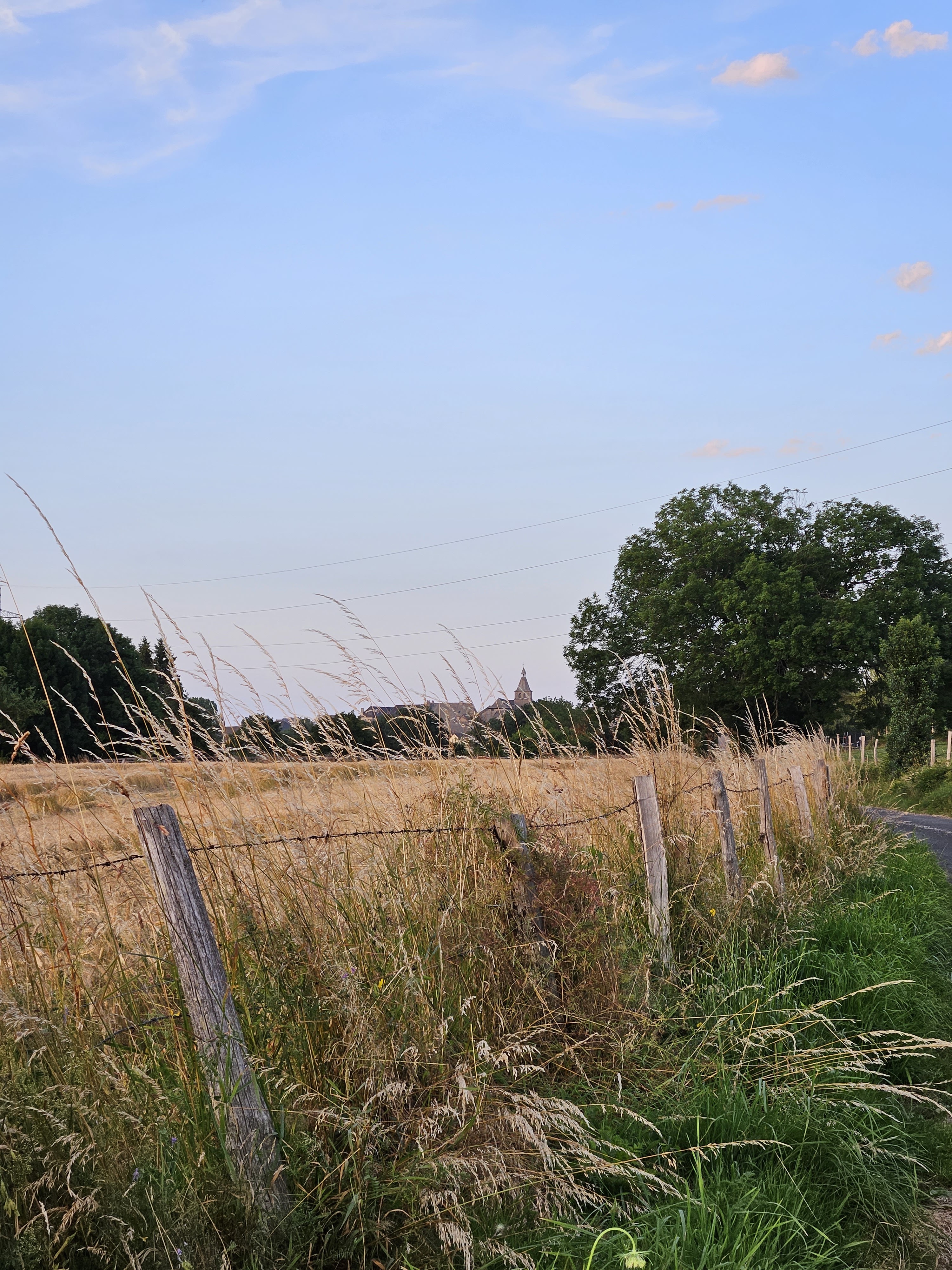 Photo n° 4 de l'avis de Hermann.h fait le 16/07/2023 à 07:06