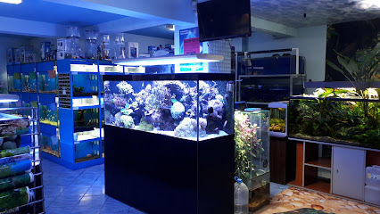Магазин за тропически риби