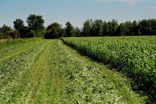 Agriculture Environmental Renewal Canada (AERC) Inc.