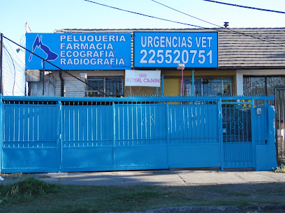 Urgencias Veterinarias San Miguel