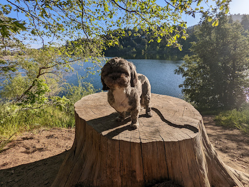 Water Park «Lake Gregory Regional Park», reviews and photos, 24171 Lake Dr, Crestline, CA 92325, USA