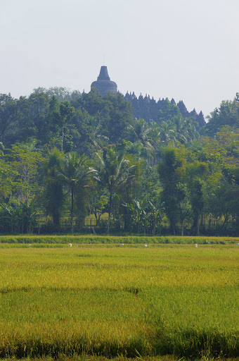 Travel Agency «SkyPath Travel», reviews and photos, 4221 NW 126th Ave, Portland, OR 97229, USA