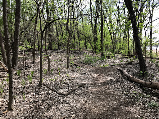 Burnham Woods