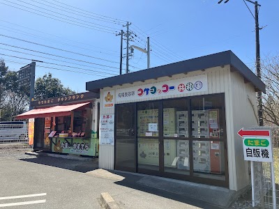 コケコッコー共和国 勢和多気店
