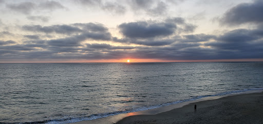 Beach Terrace image