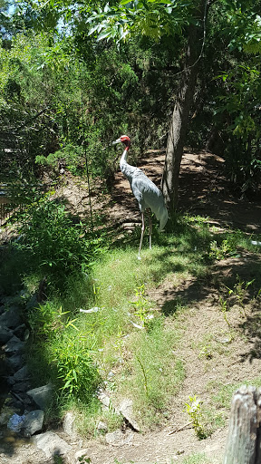 Zoo «Alligator Adventure», reviews and photos, 4604 Hwy 17 S, North Myrtle Beach, SC 29582, USA