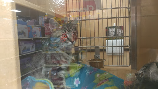 Pet Supply Store «PetSmart», reviews and photos, 26532 Towne Centre Dr, Foothill Ranch, CA 92610, USA