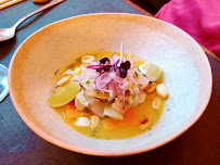 Ceviche du Restaurant de cuisine fusion ALMA Nikkei Food & Drinks à Strasbourg - n°14