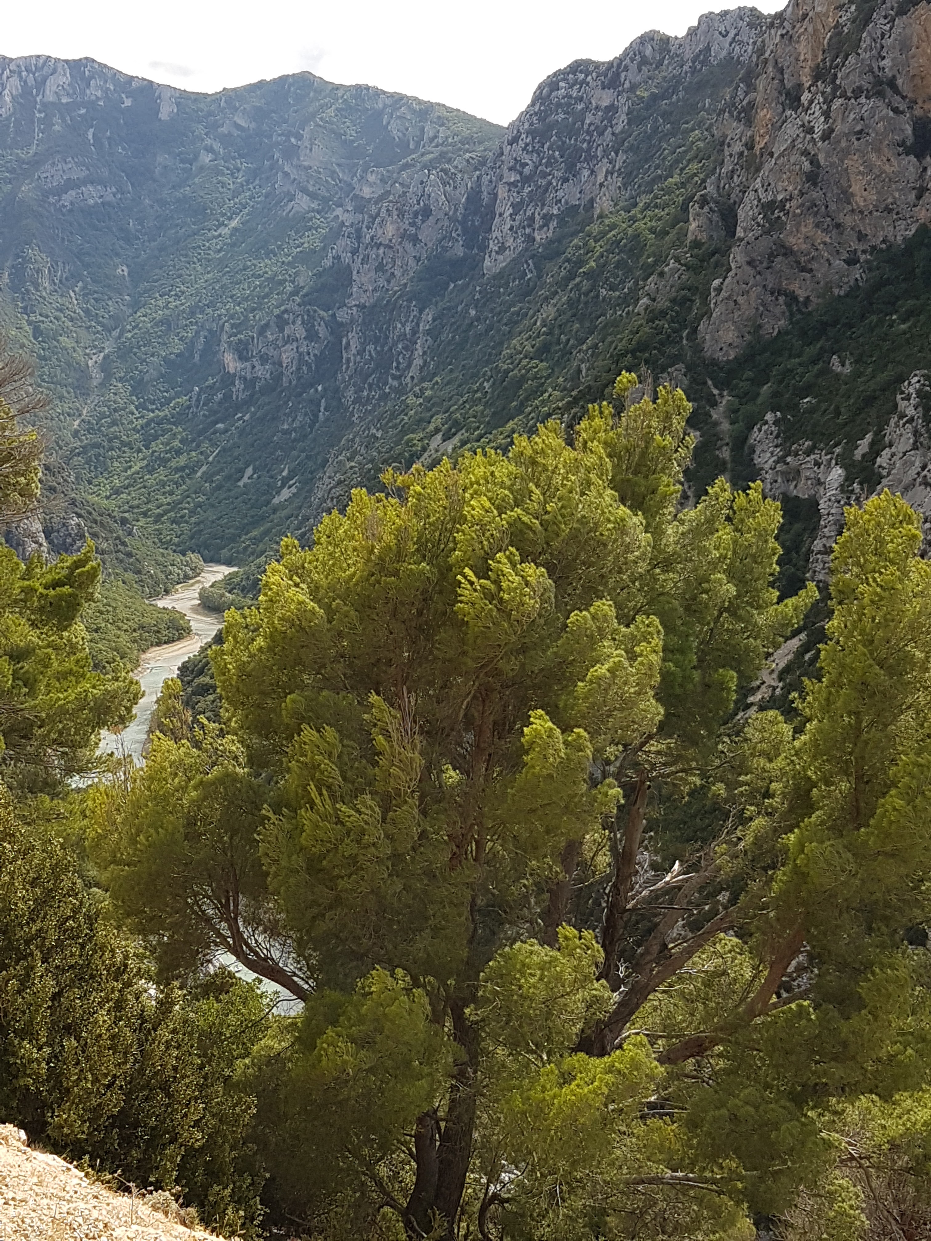 Photo n° 2 de l'avis de jean.a fait le 25/09/2019 à 05:13