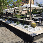 Photo n°2 de l'avis de Ciro.a fait le 19/11/2021 à 23:32 sur le  The Owl à Ercolano