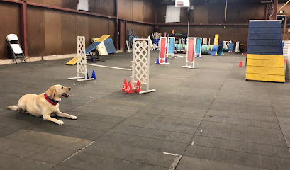 AF1QipOXROv_v5nEQ7zAUSALZAVmXntNlPyqbt5fb-GH=w409-h240-k-no