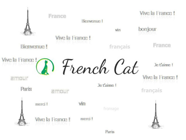 Cursuri de limba franceză - Școală de limbi străine