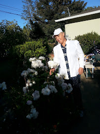 Artificial Lawns Direct, Inc. - Photo 7 - Car repair in Santa Cruz, CA, Santa Cruz