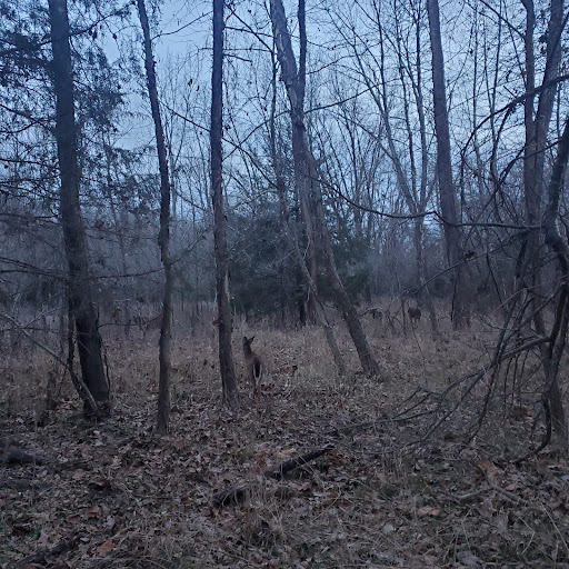 Lawrence River Trails , Lawrence, Kansas Zaubee