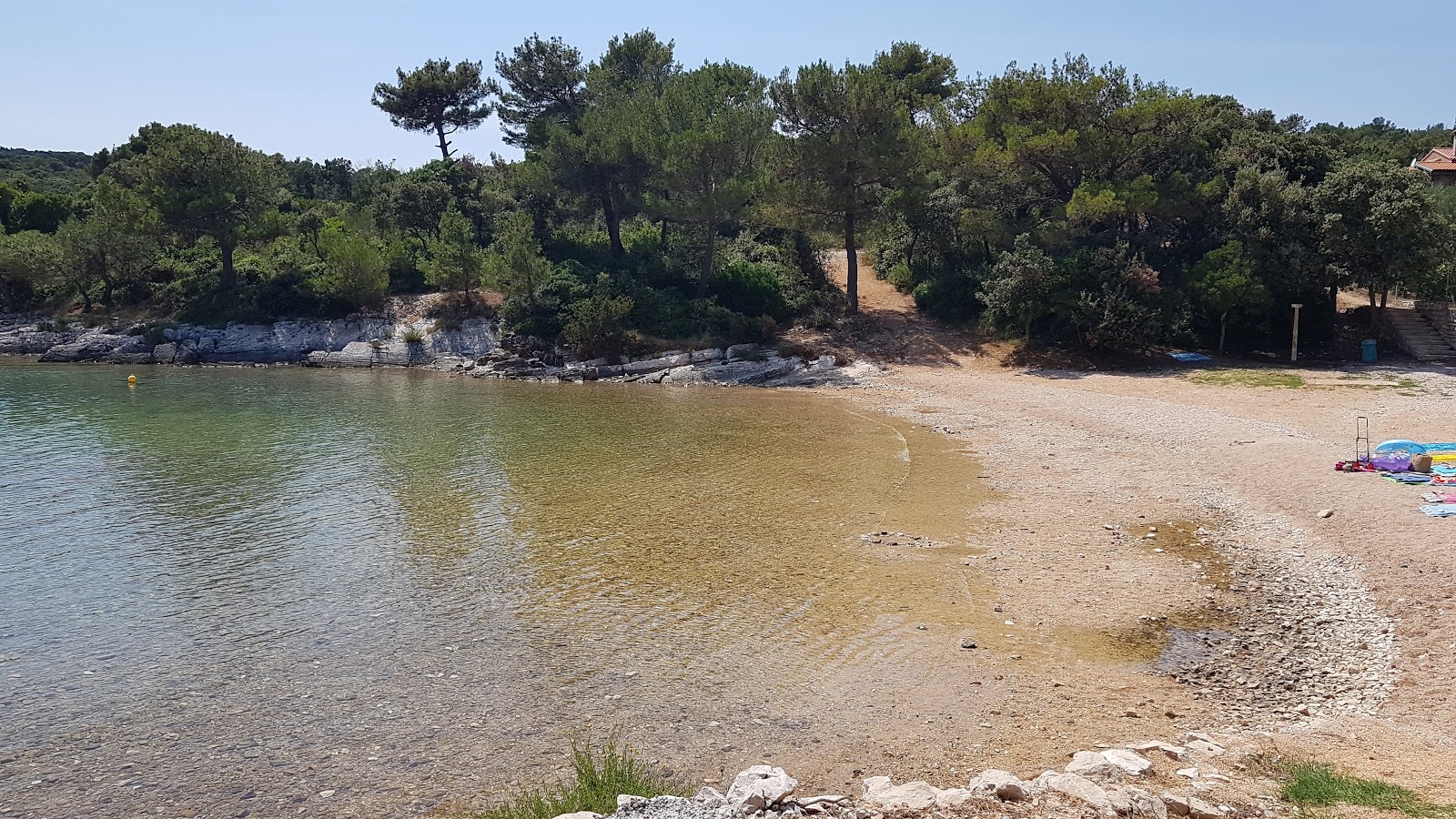 Plaza Venerica II'in fotoğrafı vahşi alan