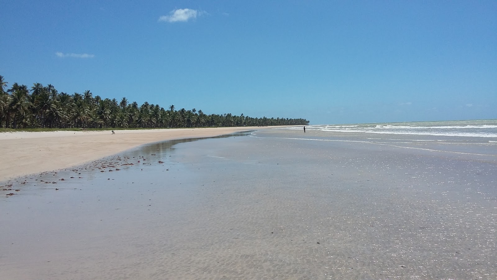 Fotografija Praia Ponta da Gamela z dolga ravna obala