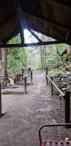 Tourist Attraction «Oregon Vortex», reviews and photos, 4303 Sardine Creek L Fork Rd, Gold Hill, OR 97525, USA