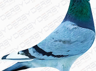 İslahiye Posta Güvercini Sevenler Derneği