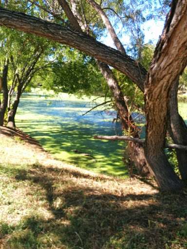 Park «Bamberger Nature Park», reviews and photos, 12401 Babcock Rd, San Antonio, TX 78249, USA