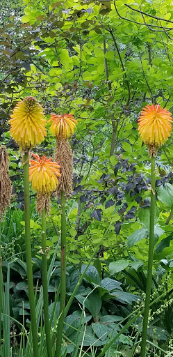 History Museum «Bush House Museum», reviews and photos, 600 Mission St SE, Salem, OR 97302, USA