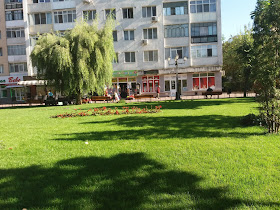 Parc B-dul Alexandru