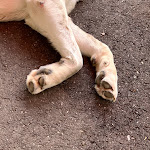 Photo n°1 de l'avis de Paolo.i fait le 25/07/2020 à 18:06 sur le  Agritur El Mas à Moena