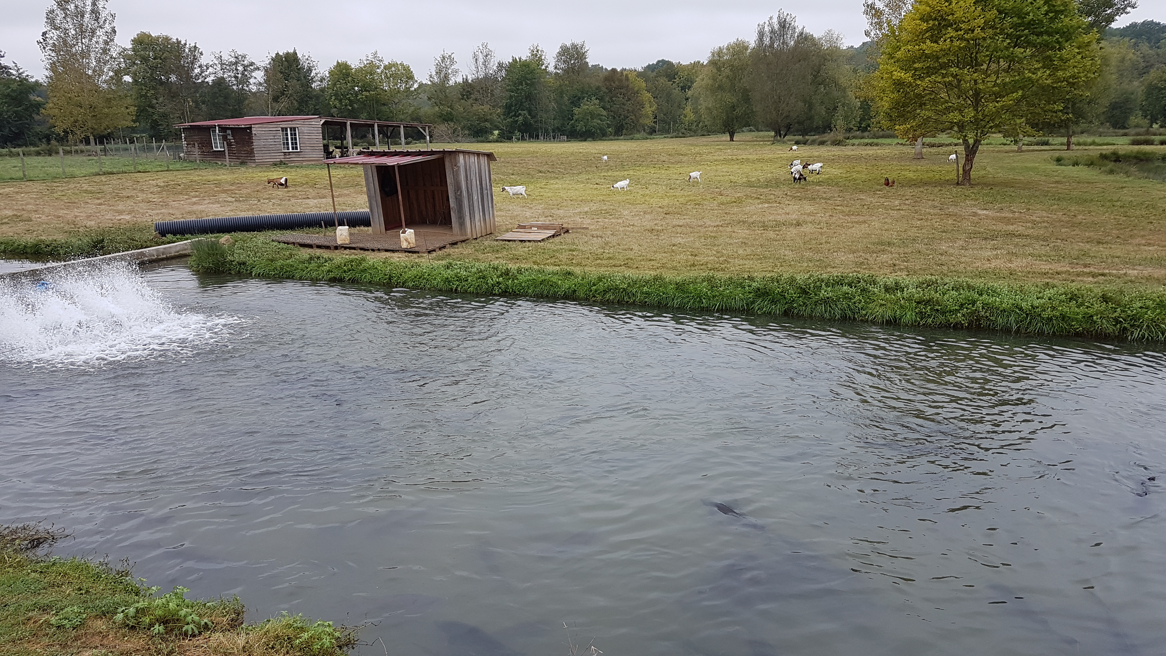 Photo n° 3 de l'avis de claire.e fait le 25/09/2020 à 14:24