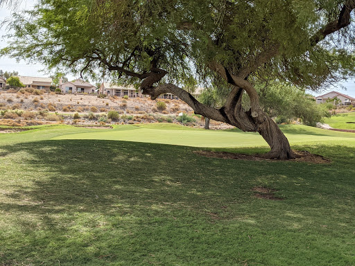 Golf Club «Coyote Lakes Golf Club», reviews and photos, 18800 N Coyote Lakes Pkwy, Surprise, AZ 85374, USA