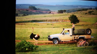 Photos of Basangoma Game Ranch