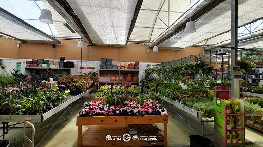 Viveiros Alecrín en Soutopenedo, Ourense