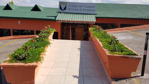 College of Dental Surgeons of Honduras