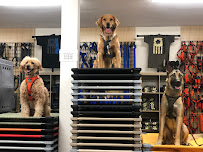 K9 Tactical Gear Inc - Photo 4 - Car repair in Rocklin, CA, Roseville