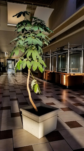 Shopping Mall «Columbia Place», reviews and photos, 7201 Two Notch Rd, Columbia, SC 29223, USA