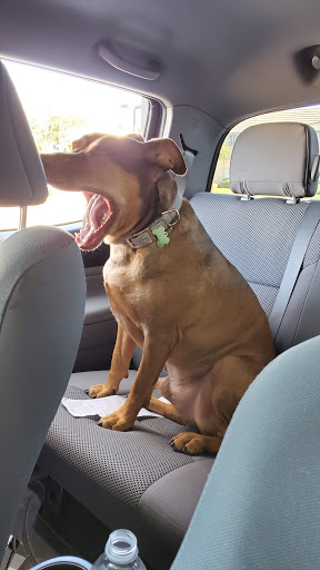 Coffee Shop «Starbucks Drive Thru», reviews and photos, 3707 Arlington Ave, Riverside, CA 92506, USA