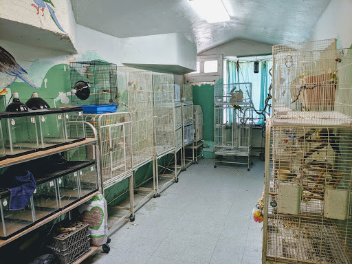 Pet Supply Store «The Animal Connection», reviews and photos, 2550 2550 Judah St & 31st Ave, San Francisco, CA 94122, USA