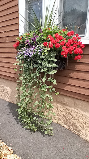 Garden Center «Delahunty Nurseries & Florist», reviews and photos, 41 Range Rd, Windham, NH 03087, USA