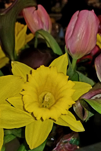 Coffee Shop «Starbucks», reviews and photos, 406 N Main St, Sebastopol, CA 95472, USA