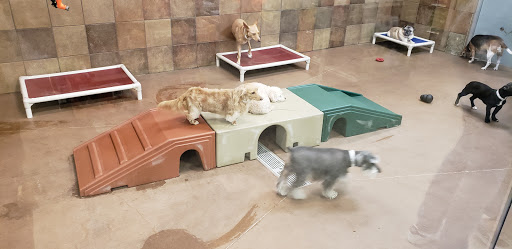 PetSmart image