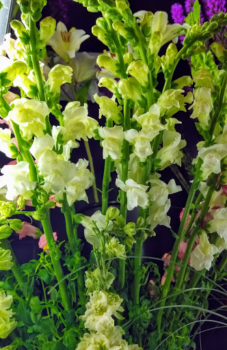 Florist «Designs By Rosa, Inc. Florist», reviews and photos, 140 S Wabash Ave, Chicago, IL 60603, USA