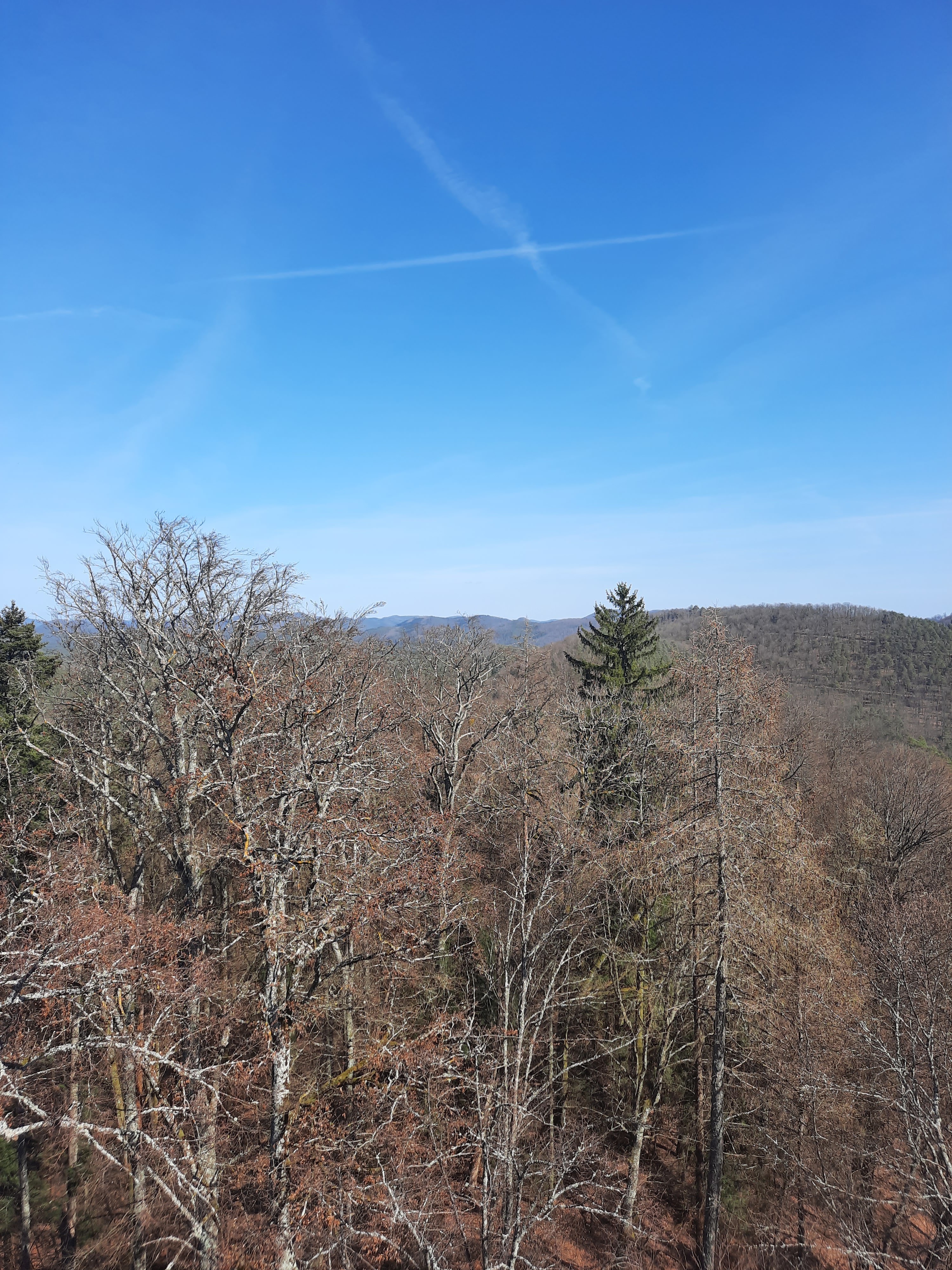 Photo n° 1 de l'avis de cindy.e fait le 28/03/2021 à 14:44