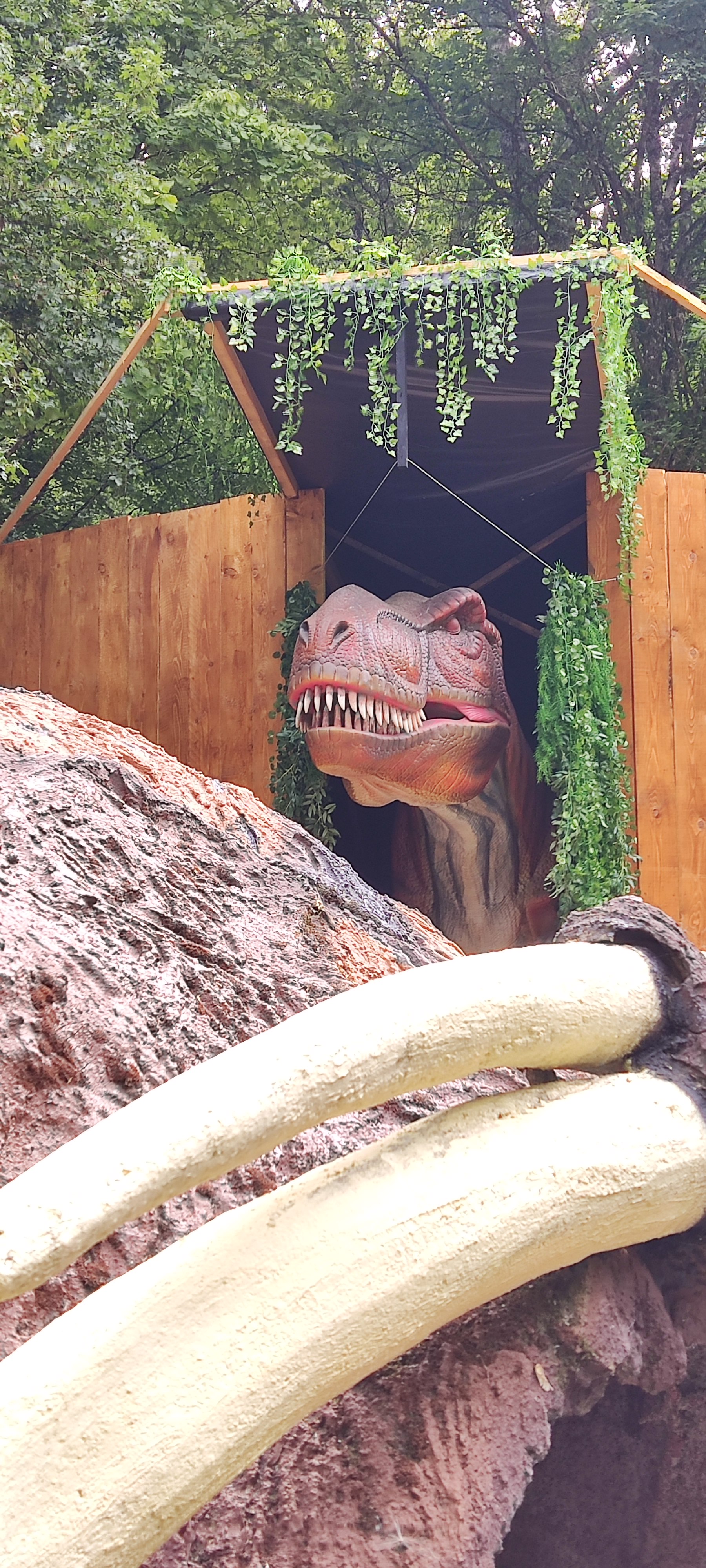 Photo n° 5 de l'avis de Yannick.O fait le 29/08/2021 à 20:21