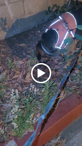 Supermarket «Stater Bros. Markets», reviews and photos, 375 N Azusa Ave, West Covina, CA 91791, USA