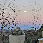 Photo n°2 de l'avis de maria.i fait le 02/01/2024 à 21:41 sur le  Birrificio, Agri Camping, Pianella (Pe) e Agripub Golden Rose di Chiappini Melania à Pianella