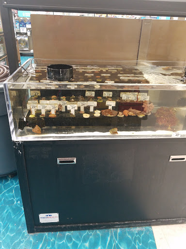 Pet Supply Store «Petco Animal Supplies», reviews and photos, 3246 N John Young Pkwy, Kissimmee, FL 34741, USA