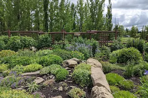 Botanical Gardens of Silver Springs image