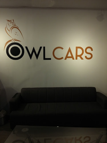 Owl Cars - Vitacura