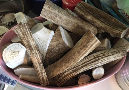 Pet Supply Store «Island Animal», reviews and photos, 35 Narragansett Ave, Jamestown, RI 02835, USA