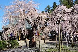 六地蔵寺（水戸大師） image