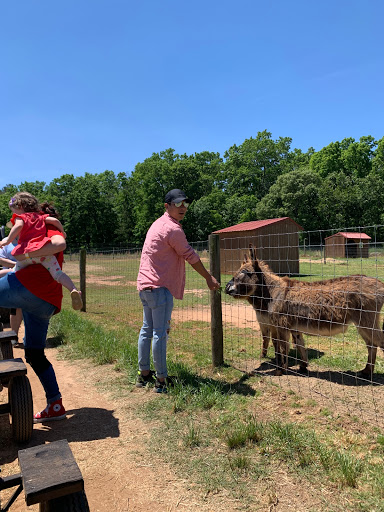 Farm «Warbington Farms (U-Pick Strawberries)», reviews and photos, 5555 Crow Rd, Cumming, GA 30041, USA