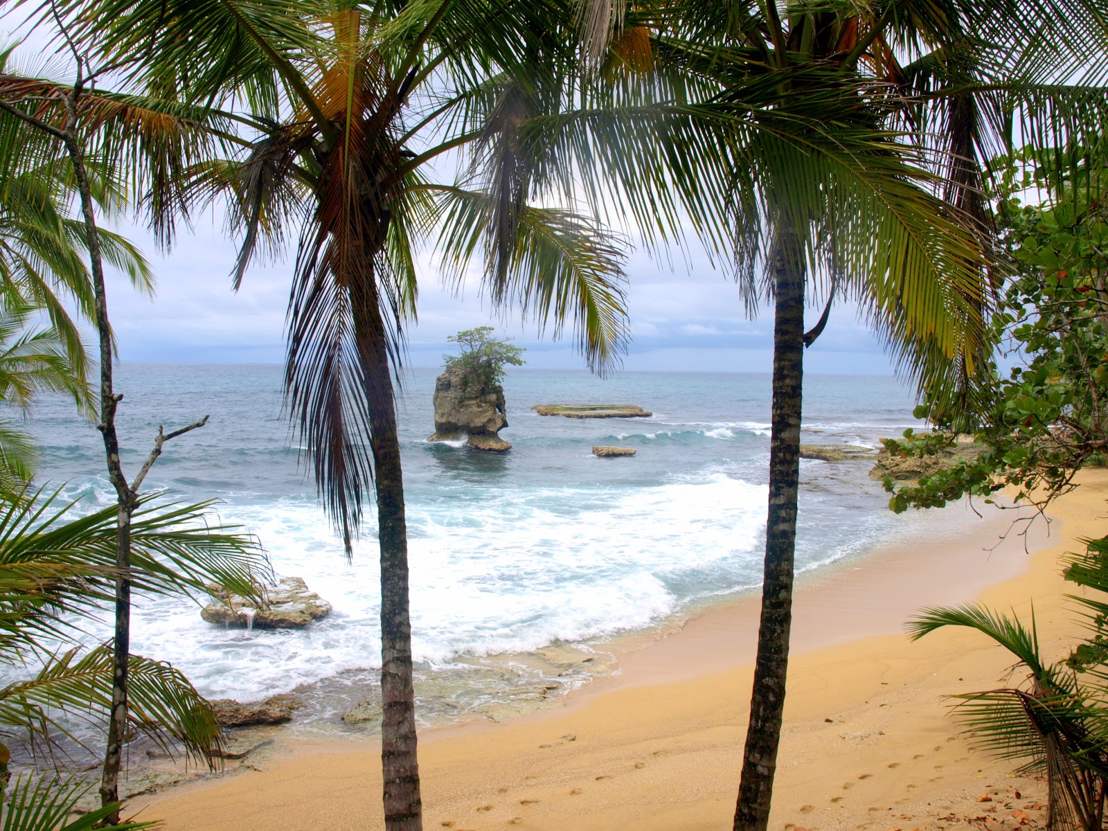 Foto de Punta de Vista beach e sua bela paisagem